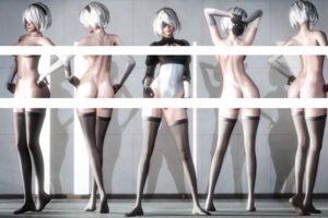 [合集][TheLewdCooki (Oreo)] HS动画 + CG合集 [Animations+Gallery]
