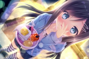[GALGAME][MARMALADE] 回家之前的棉花糖 - I'll find my way home [汉硬]